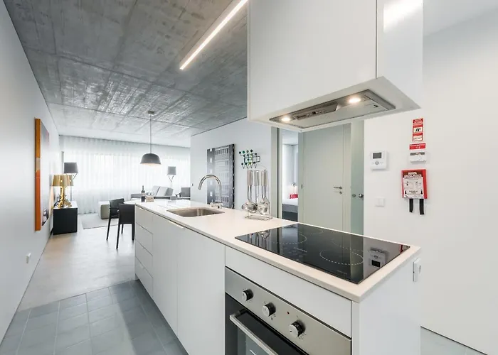 Cedofeita Lux Design Apartmán *