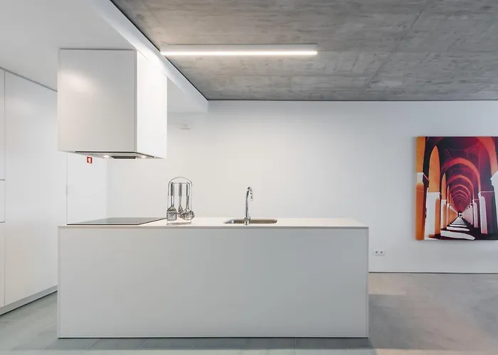 Cedofeita Lux Design 波尔图